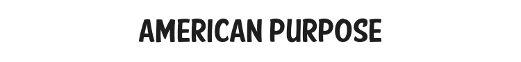 American Purpose Casual Font