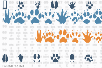 Animal Tracks Font