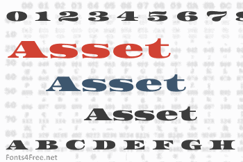 Asset Font