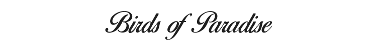 Birds of Paradise Font