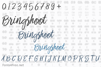 Bringshoot Font