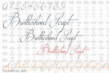 Brotherhood Script Font