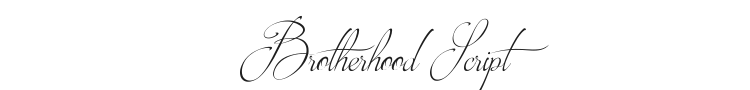 Brotherhood Script