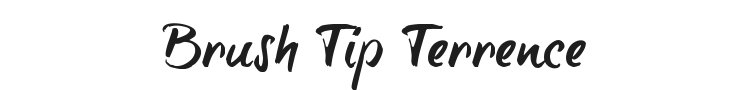 Brush Tip Terrence Font