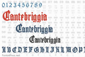 Cantebriggia Font