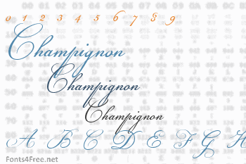 Champignon Font