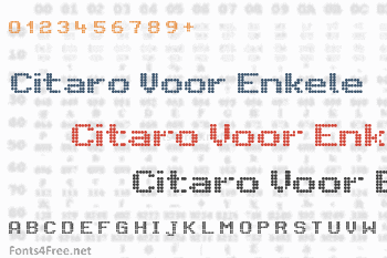 Citaro Voor Enkele Hoogte, Breed Font