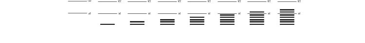 Decibel Dingbats