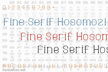 Fine Serif Hosomozi Font