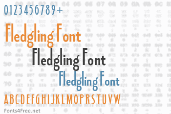 Fledgling Font