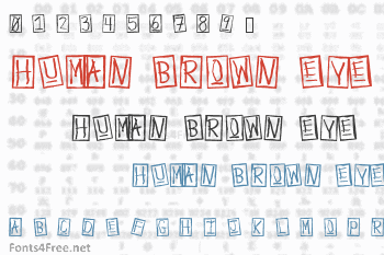 Human Brown Eye Font