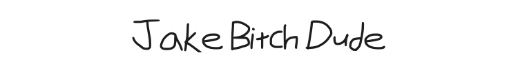 Jake Bitch Dude Font Preview