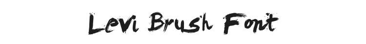 Levi Brush