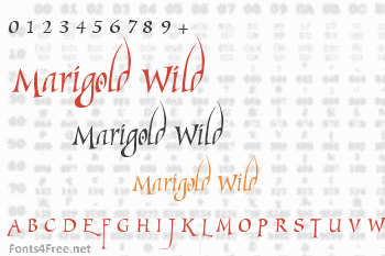 Marigold Wild Font