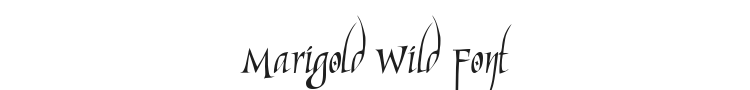 Marigold Wild Font