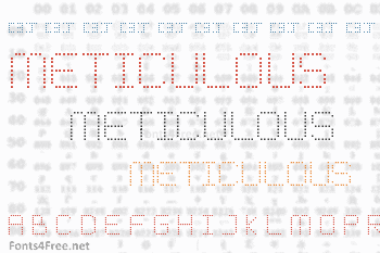 Meticulous Round Font