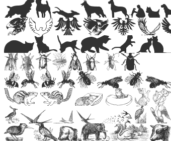 Download Animals Fonts Download Top 40 Fonts4free SVG Cut Files