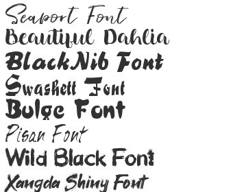 Gallery of Levi Brush Font.