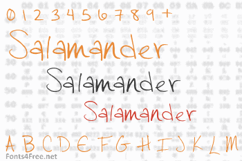 Salamander Font