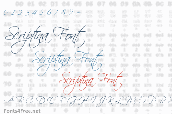 Scriptina Font