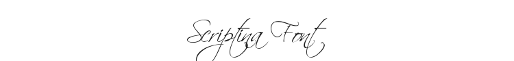 Scriptina Font Preview