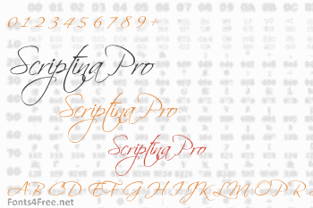 Scriptina Pro Font