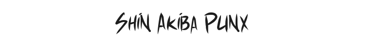 Shin Akiba Punx Font Preview