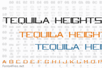 Tequila Heights Sobria Borracha Font