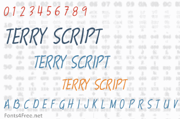 Terry Script Font