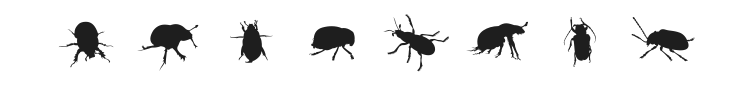 The Beetles Font