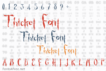 Thicket Font