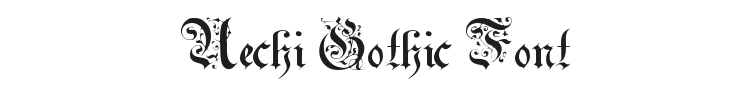 Uechi Gothic Font