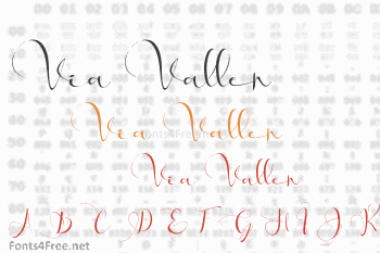 Via Vallen Font