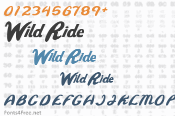 Wild Ride Font