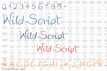 Wild Script Font