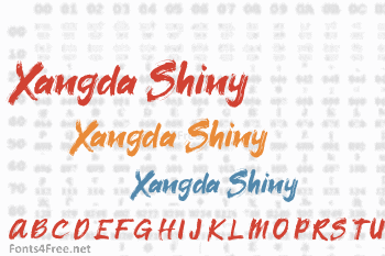 Xangda Shiny Font
