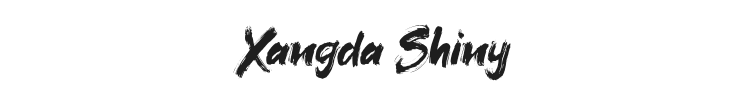 Xangda Shiny Font